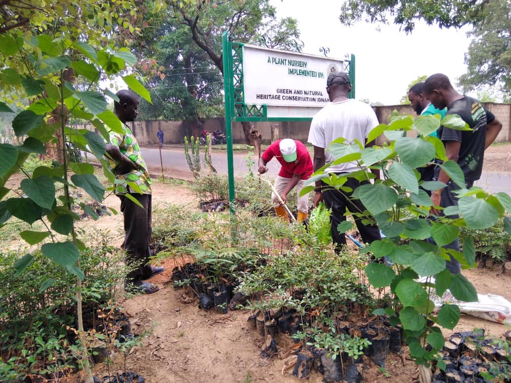 Seedlings at the GNAHC nursery
